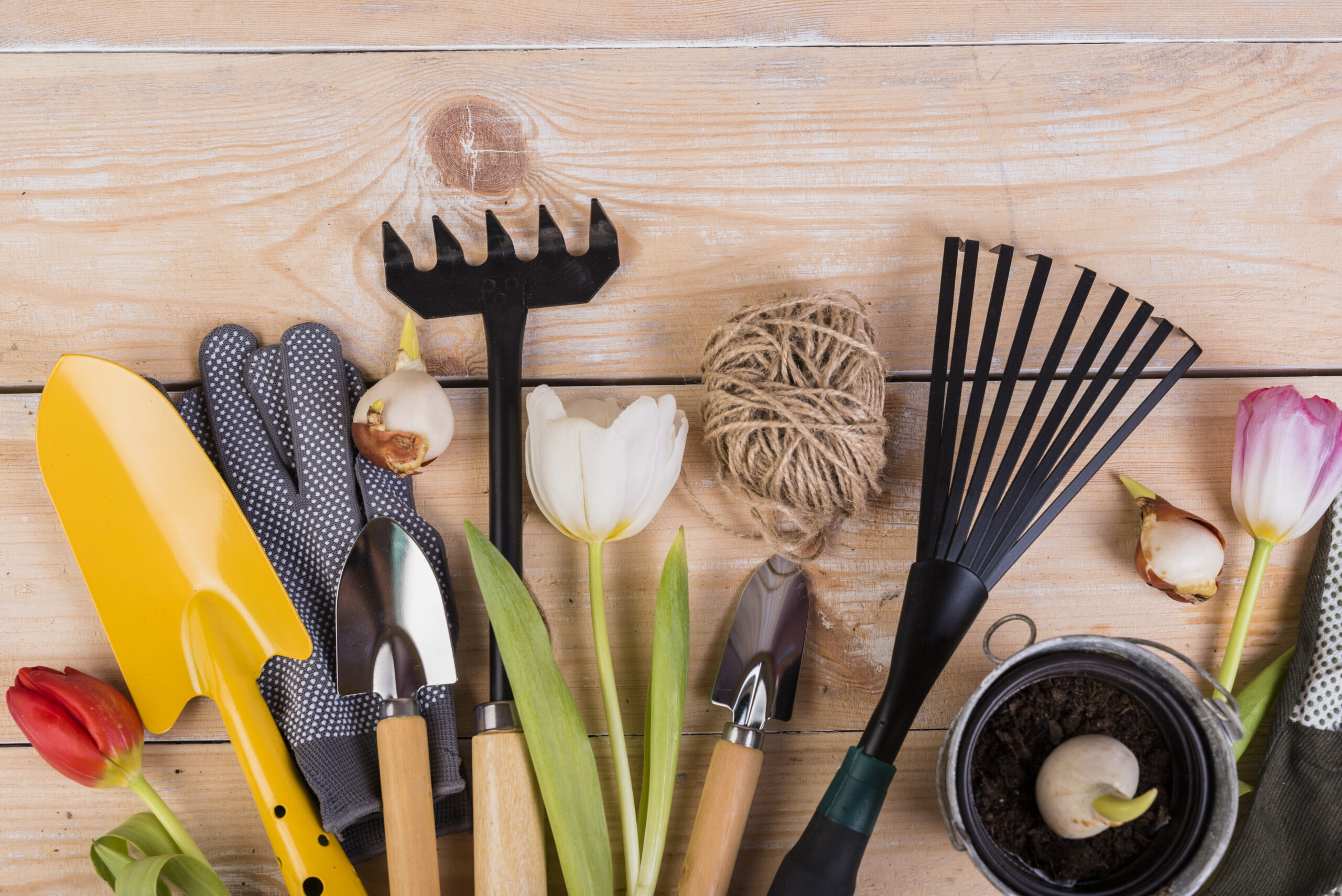 Gartenwerkzeugset für Hobbygärtner