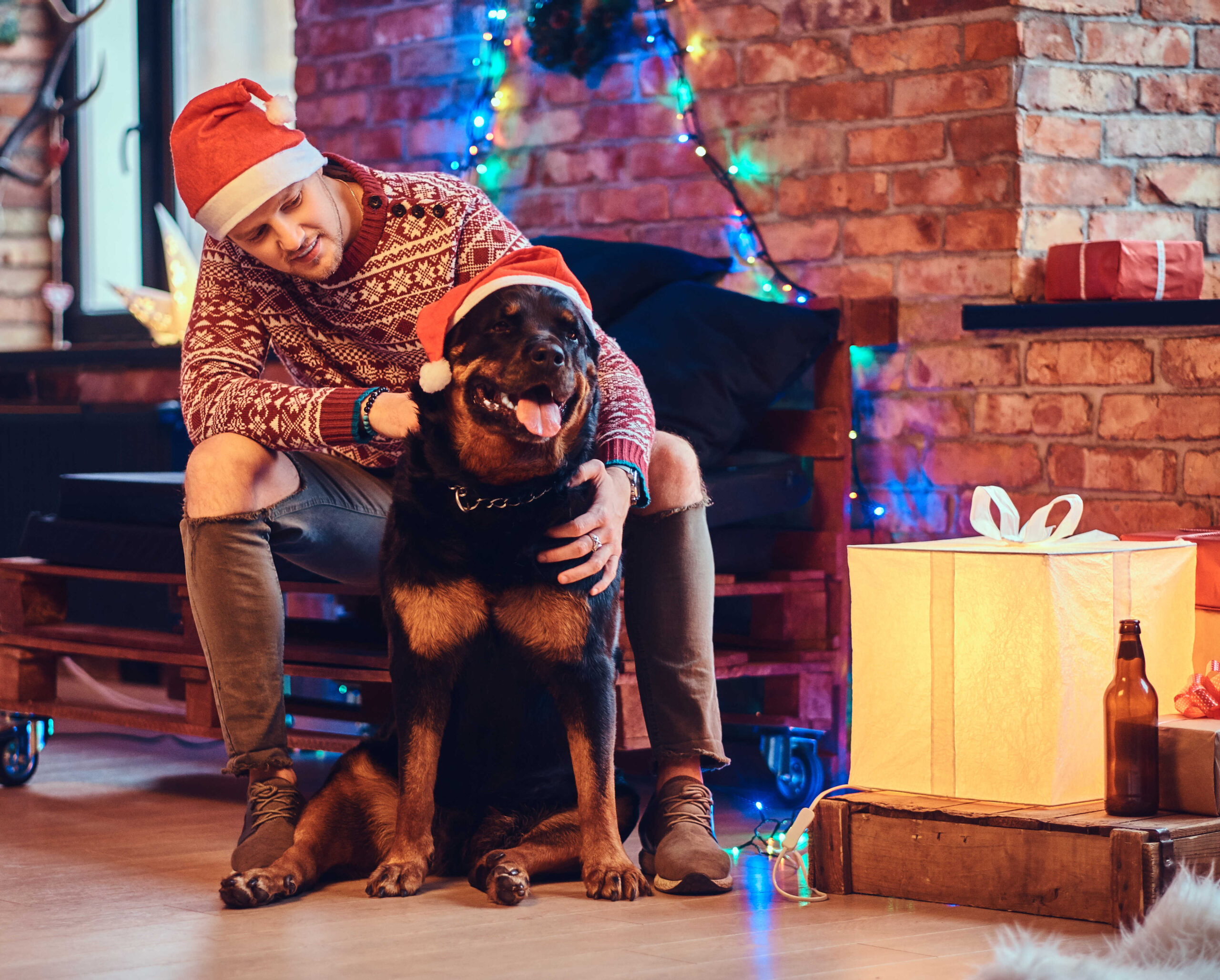 Was sollten Sie beim Kaufen eines Hundebesitzer beachten