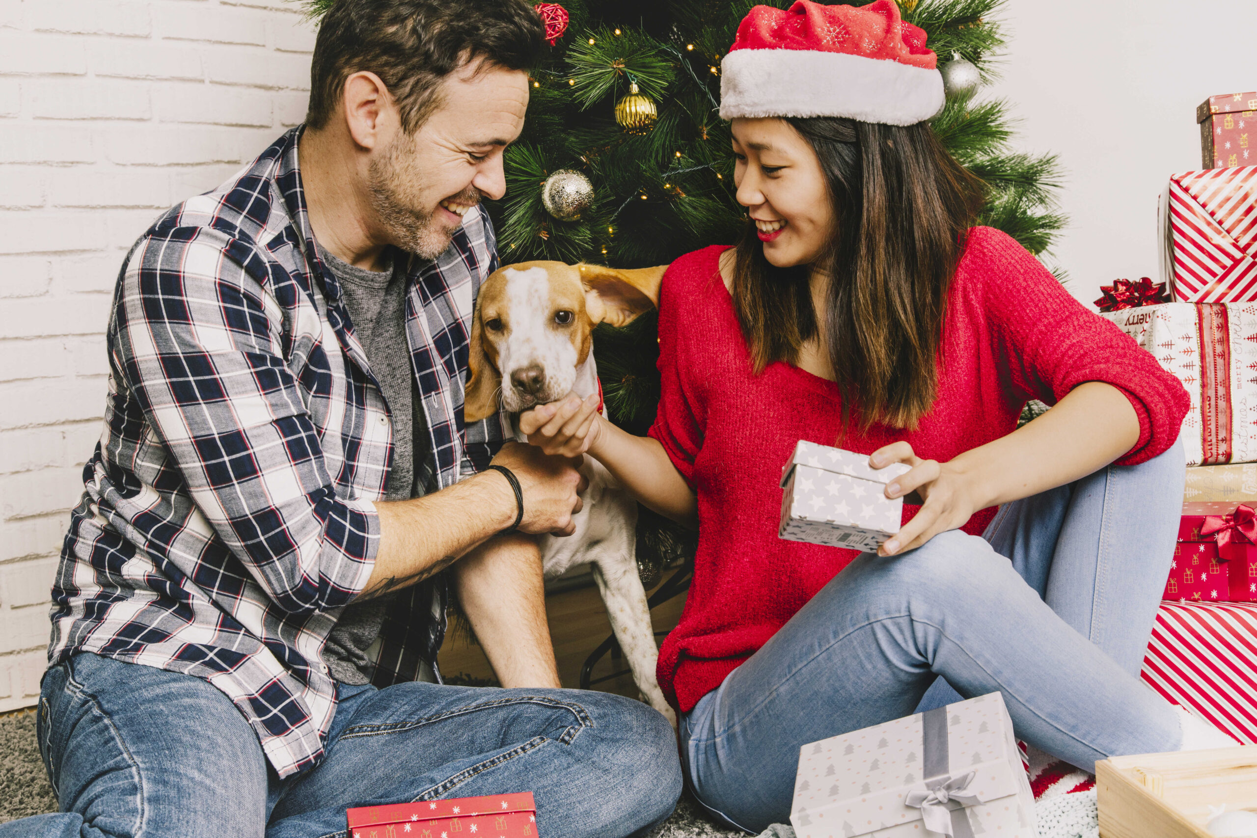 Ideale Geschenkidee für Paare mit Hund zum Weihnachten