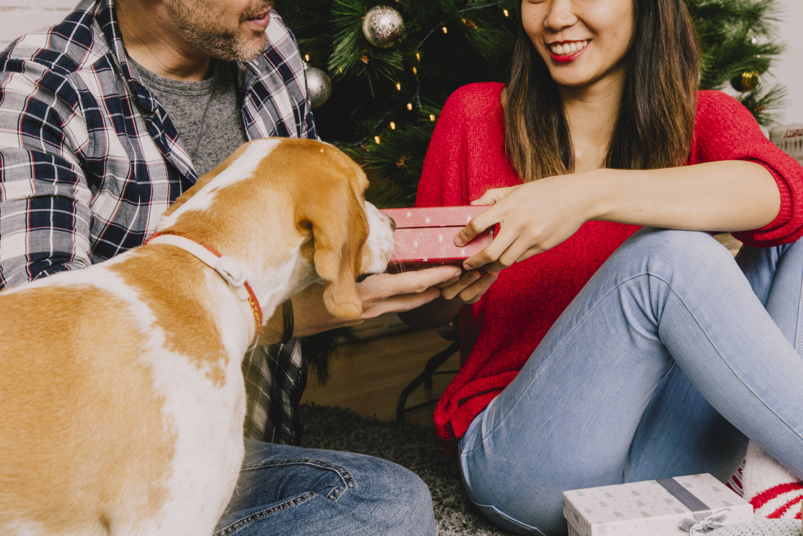 Tolle Geschenkidee mit den Hunden zum Jahrestag