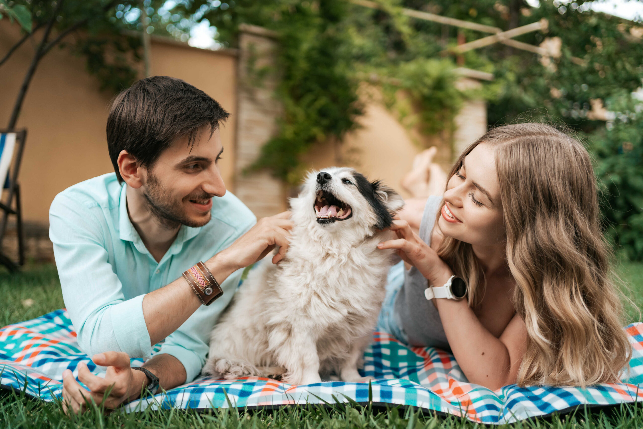 Was wünschen die meisten Hundebesitzer