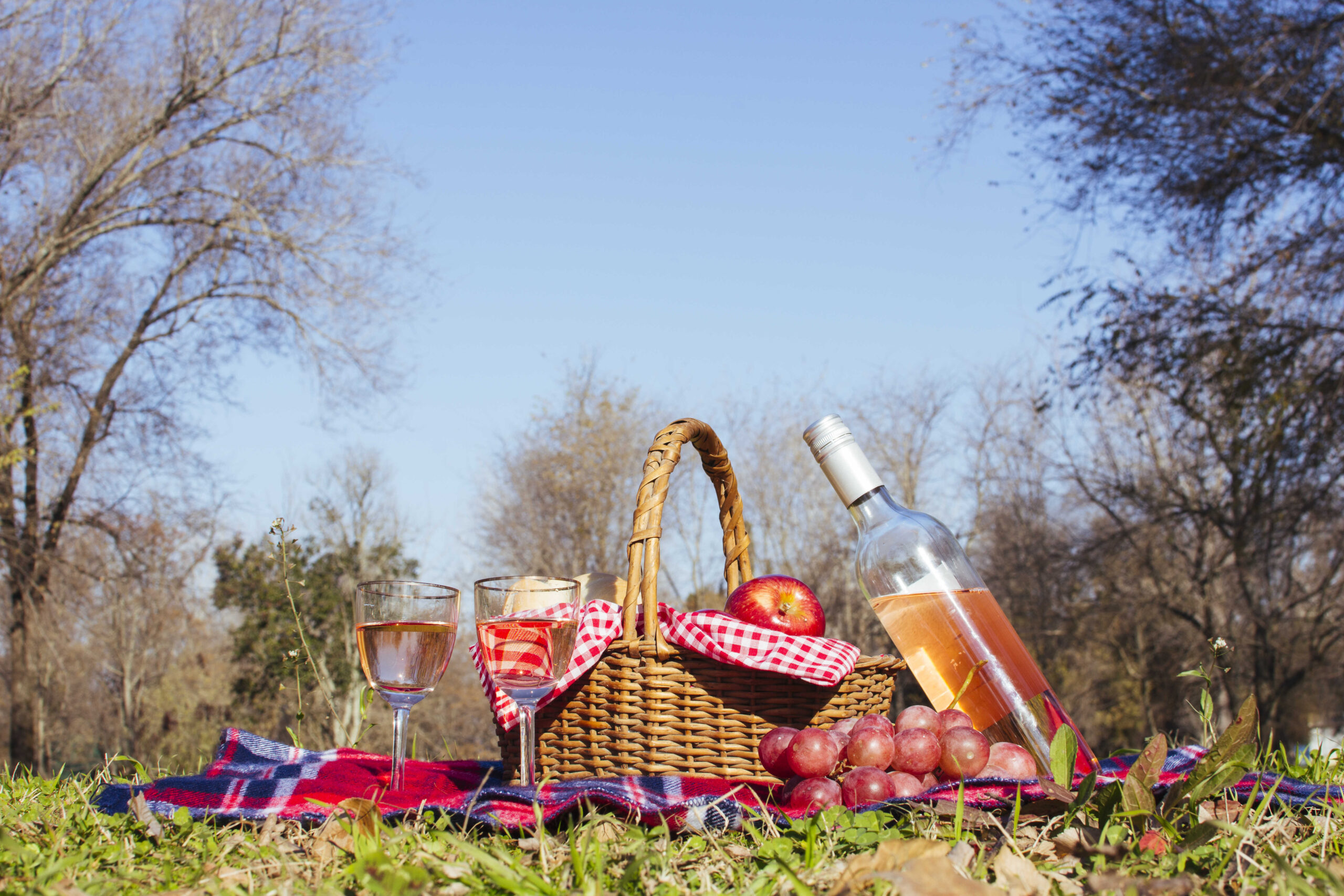 Ein hochwertiger Picknickkorb