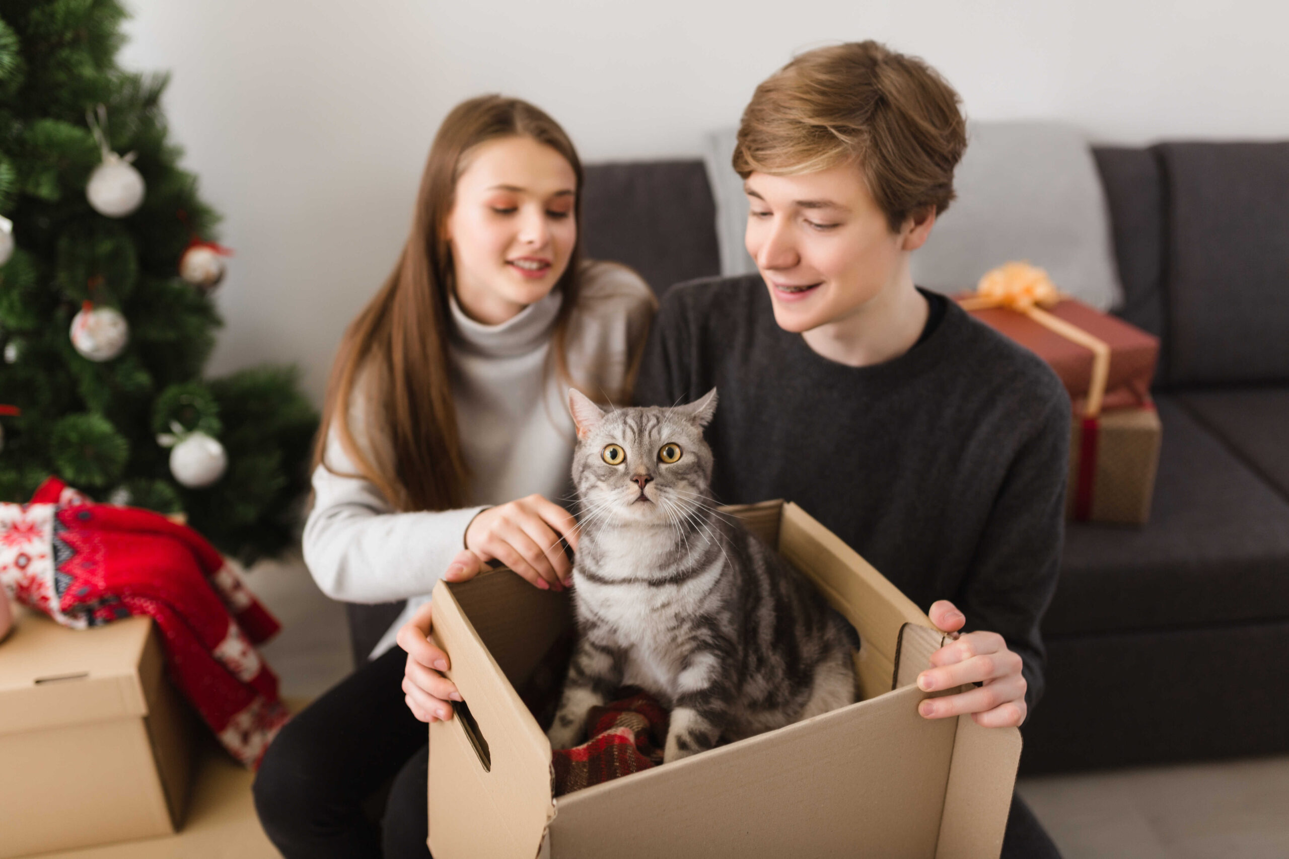 Personalisierte Geschenk mit Katze