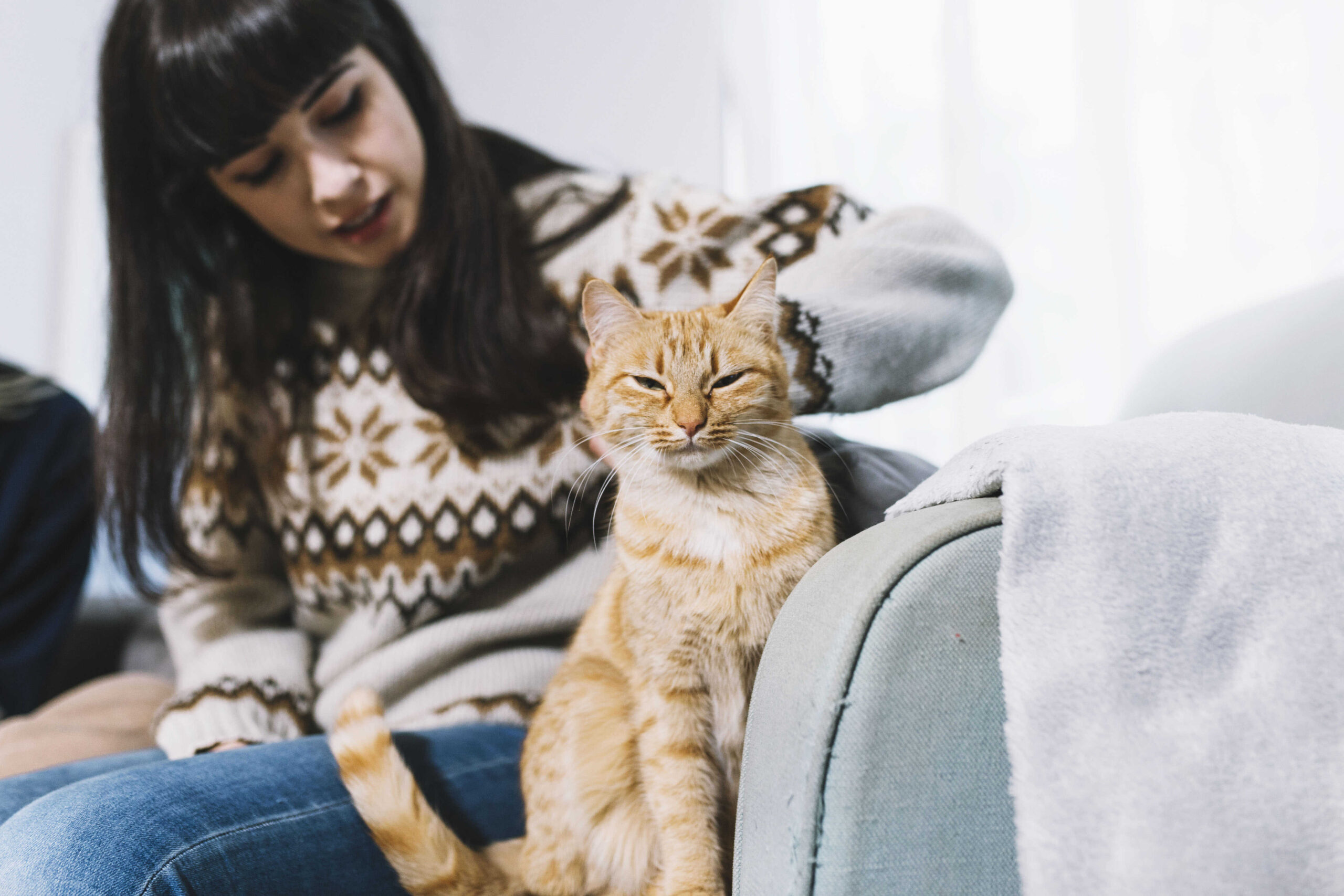 Geschenk mit Katzen - coole Überraschung!