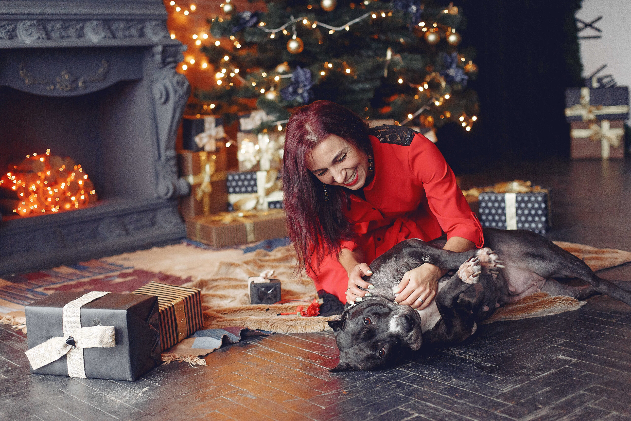 Geniale Geschenkideen mit Hunden zu Weihnachten