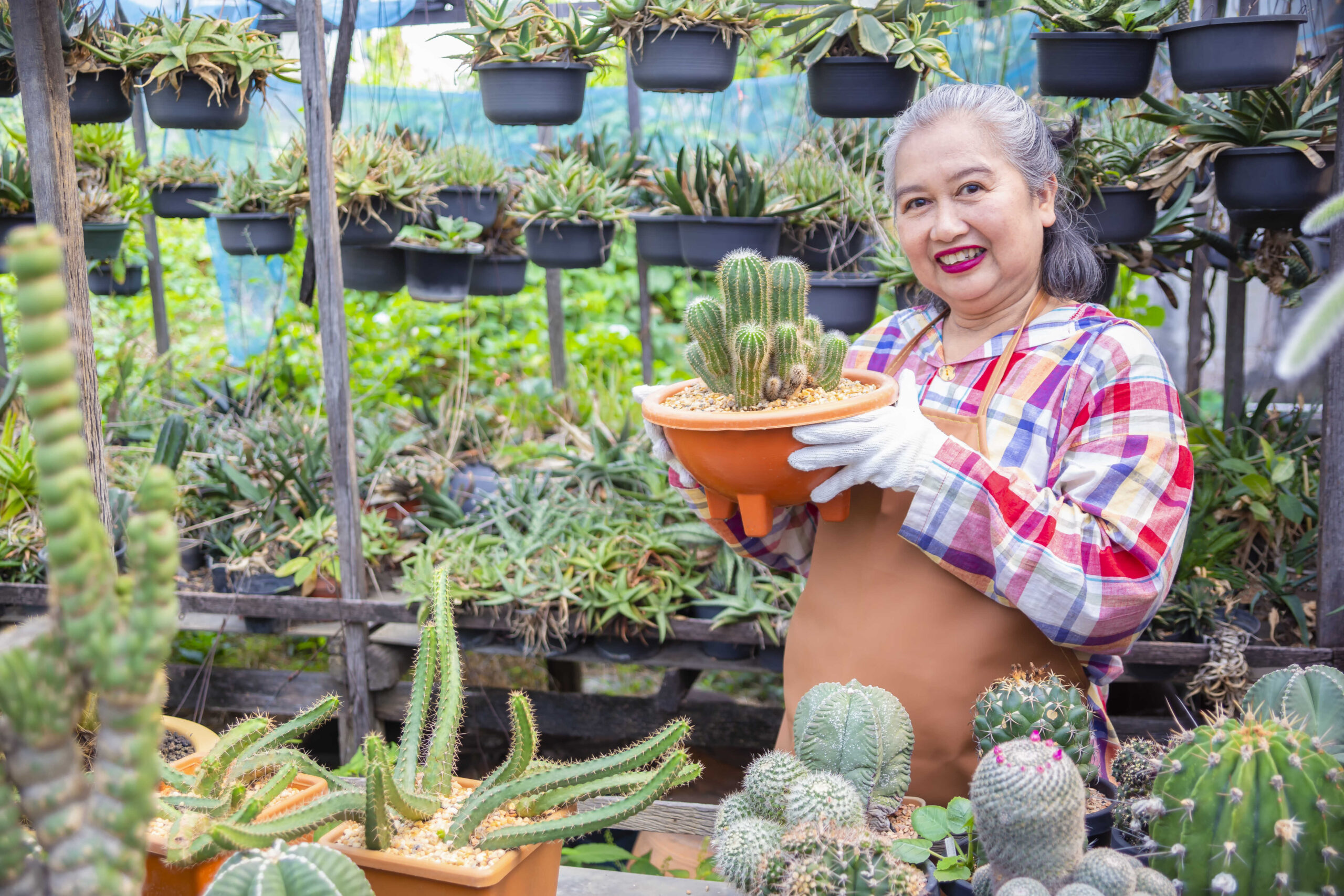 DIY Kräutergarten in Töpfen als Geschenkideen für Omas zum selber machen