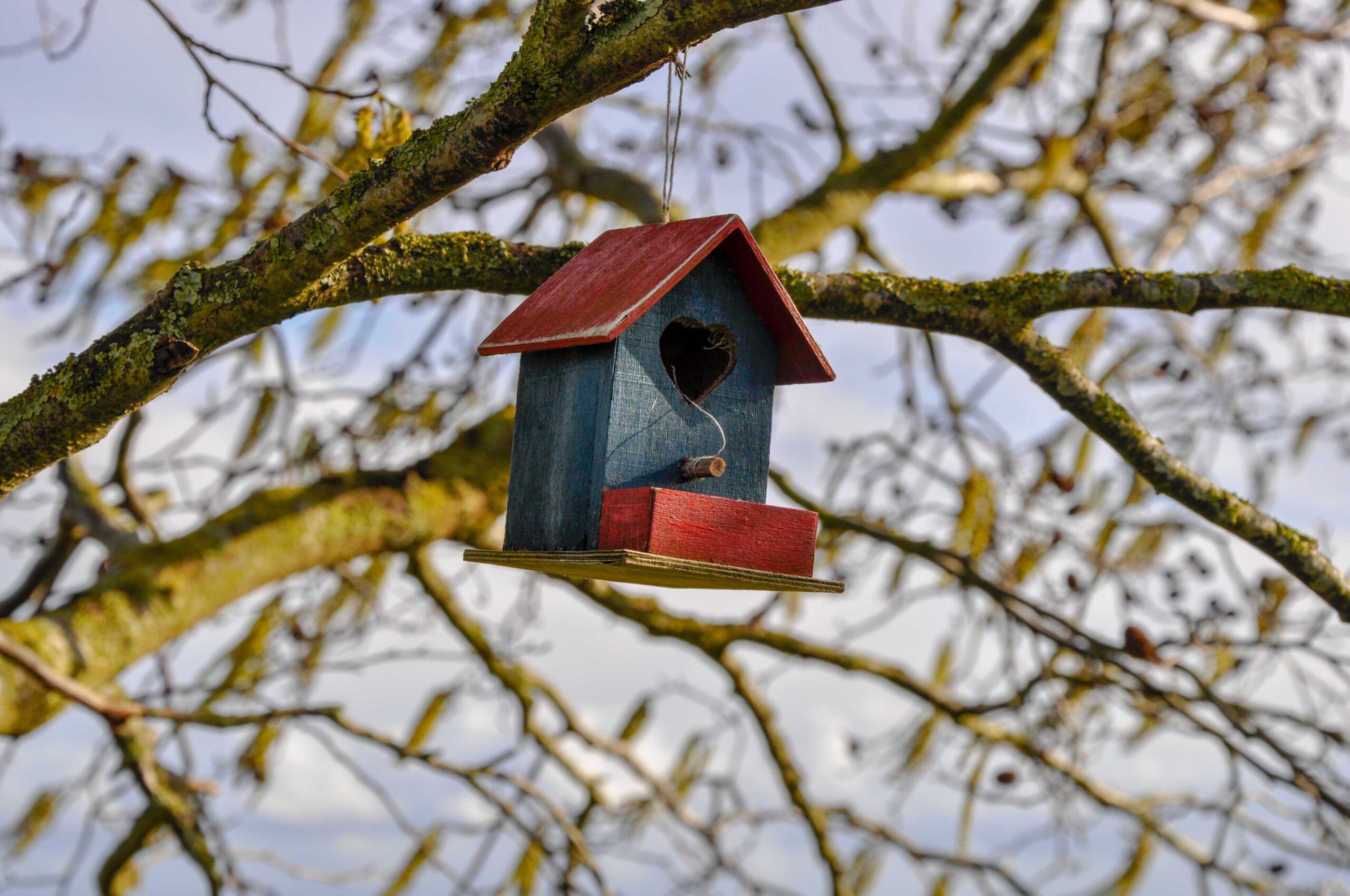 DIY Vogelhaus